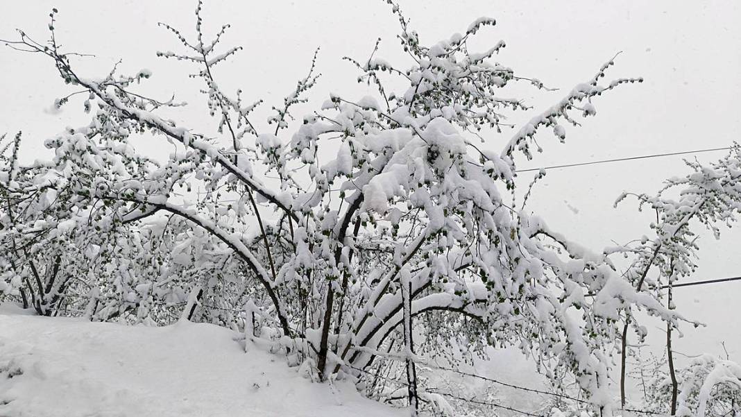 Tarımda tarihin en büyük felaketi yaşanıyor! Meyve, sebze fiyatlarında rekor artış yaşanacak 11